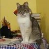 Отзыв от Василиса Озерова